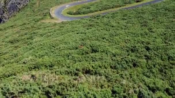 Drohnen Luftaufnahme Des Candieira Leuchtturms Cedeira Galicien — Stockvideo