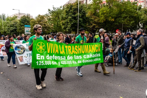 Madrid Spanya Ekim 2022 Paseo Castellana Boyunca Düzenlenen Transhumance Festivali — Stok fotoğraf