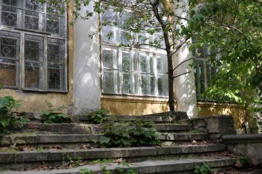 Ormandaki eski bir malikanenin pencereleri