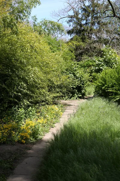 Paths Park Sunny Day — Stock Fotó