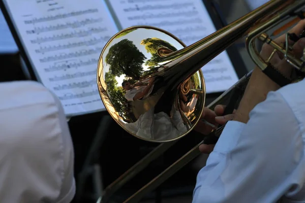Charity concert to help the armed forces of Ukraine. A musician plays the trumpet