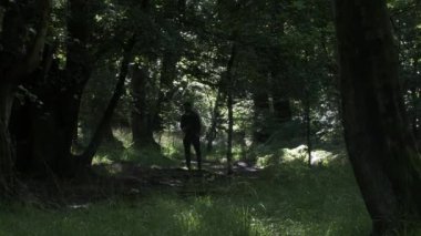 Ormanda Yürüyen Erkek Fotoğrafları Çeken Siluet. Sabit Çekim