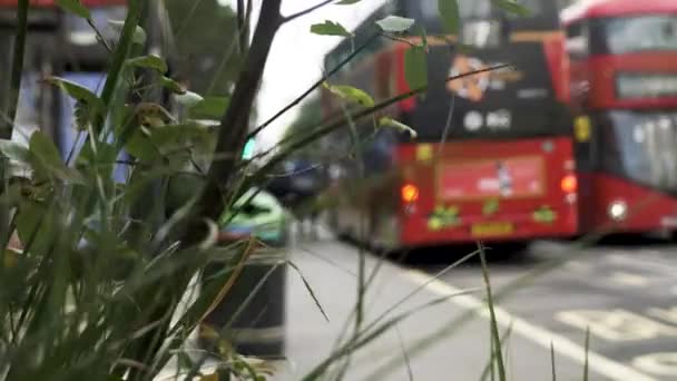 Dubbeldäckare London Buss Går Förbi Stoppa Vid Busshållplatsen Oxford Street — Stockvideo