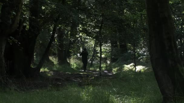 Silhouet Van Man Die Foto Maakt Verte Woodland Forest Statisch — Stockvideo