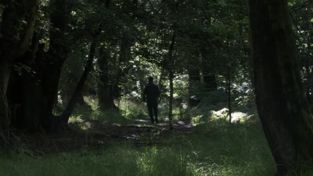 Silhouette Des Männlichen Gehens Entlang Des Weges Wald Statischer Schuss — Stockvideo