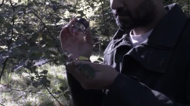 Botánico Masculino Usando Lupa Mano Lupa Hoja Disparo Estático — Vídeos de Stock