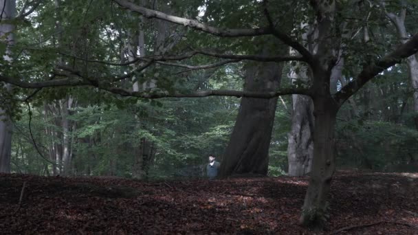 Обычный Взрослый Мужчина Идущий Тропе Хребта Лесу Потерянные — стоковое видео