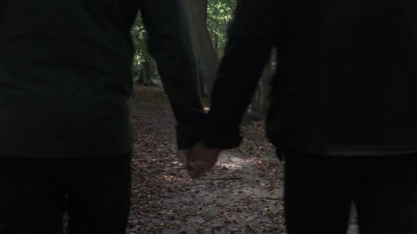 Gay Couple Forest Walking Together Holding Hands Walking Distance Locked — Stock Video