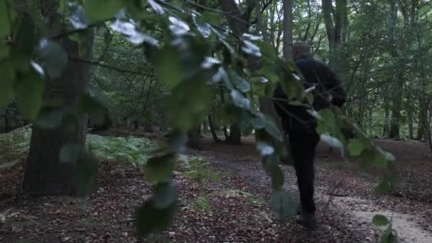 Łysa Mniejszość Etniczna Dorosły Mężczyzna Spacerujący Lesie Powoli Oglądany Przez — Wideo stockowe