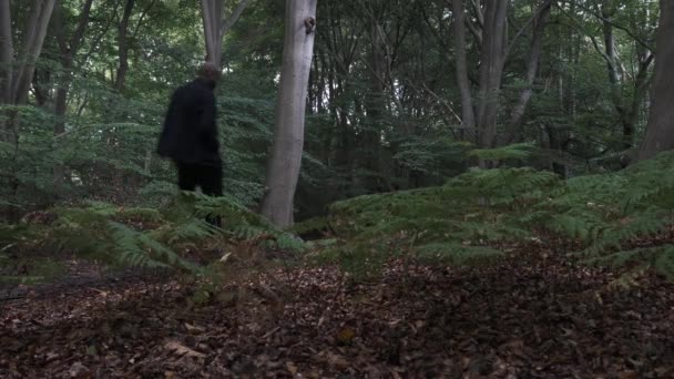 少数民族のカジュアル大人男性の森の中を歩くと 右に左 低角度 ロックオフ — ストック動画
