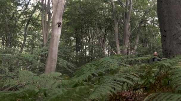 Мужчина Этнических Меньшинств Ходит Лесу Справа Налево Low Angle View — стоковое видео