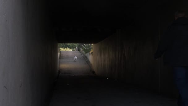 Dog Walking Suivi Par Propriétaire Dans Dark Underpass Tunnel Tir — Video