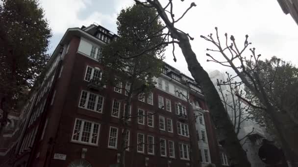 Árbol Escalada Arborista Smith Square Ángulo Bajo Mirando Hacia Arriba — Vídeos de Stock