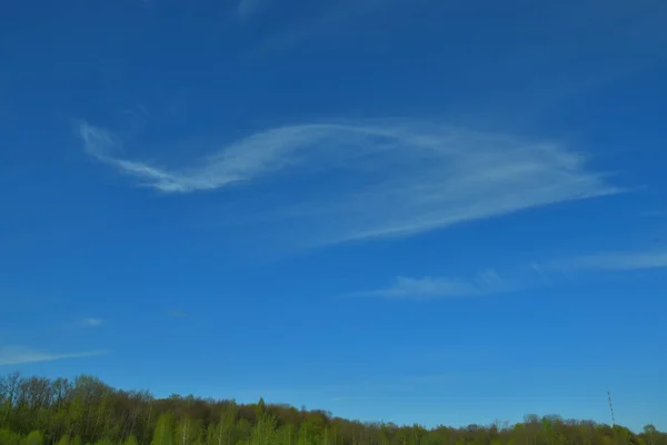 Ein Wald Horizont Und Ein Blauer Himmel Mit Einer Schönen — Stockfoto