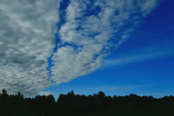 Beautiful Cirrus Clouds Blue Sky — Stock Photo, Image