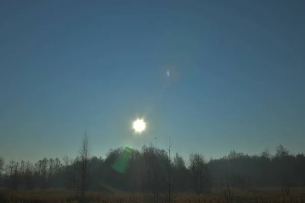 Soleil Brillant Dans Ciel Bleu — Photo