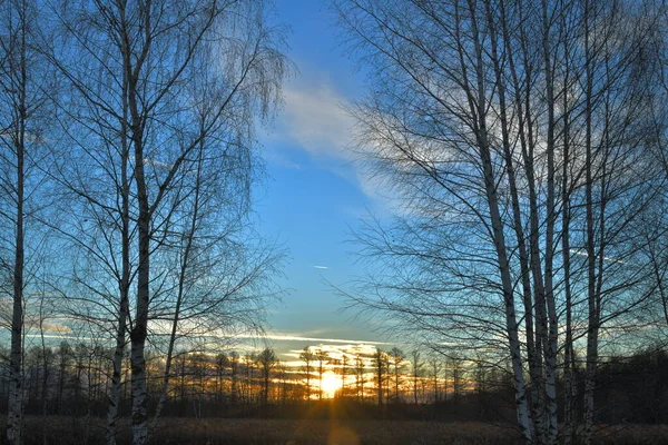 Parlak Güneşin Aydınlığıyla Aydınlanan Bulutlar — Stok fotoğraf