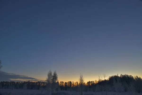 Kovové Dveře Vchodu Katedrály Svaté Koleji — Stock fotografie