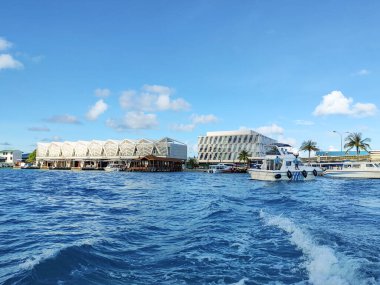 Maldivler sürat teknesi taşımacılığı, balina köpekbalığı ve manta şnorkelle yüzme ve yakalama, mercan adası