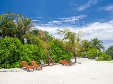 Maldivler tropikal adalar panoramik manzara, cennet gibi plaj palmiyesi bitkisi ve temiz su Hint okyanusu denizi, turist tatil beldesi