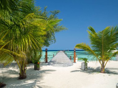 Maldivler tropikal adalar panoramik manzara, cennet gibi plaj palmiyesi bitkisi ve temiz su Hint okyanusu denizi, turist tatil beldesi