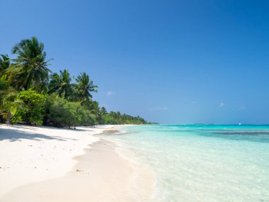 Maldivler tropikal adalar panoramik manzara, cennet gibi plaj palmiyesi bitkisi ve temiz su Hint okyanusu denizi, turist tatil beldesi