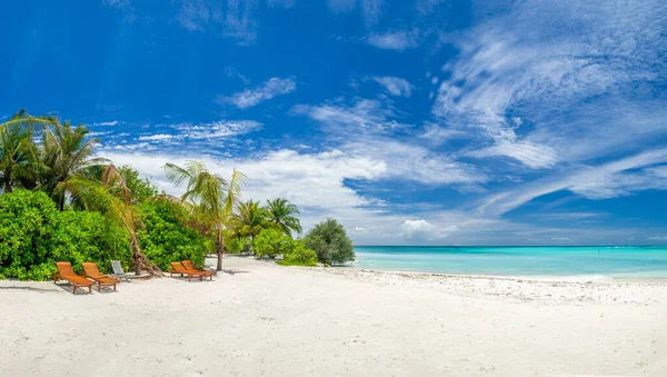 Maldives Îles Tropicales Scène Panoramique Plage Idyllique Palmier Végétation Eau — Photo