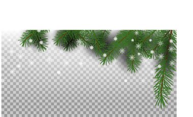 Vektör. Noel ve Yeni Yıl yatay geçmişi. Çerçeve, yeşil ağaç dalları ve beyaz kar tanelerinden oluşur. Şeffaf kareli arkaplanda gölgeli gerçekçi illüstrasyon.