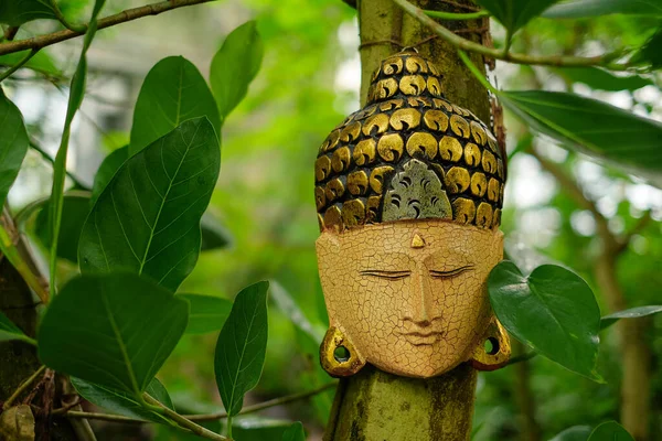 Beautiful Buddha Mask Face Tree Jungle India Temple — Stock Photo, Image
