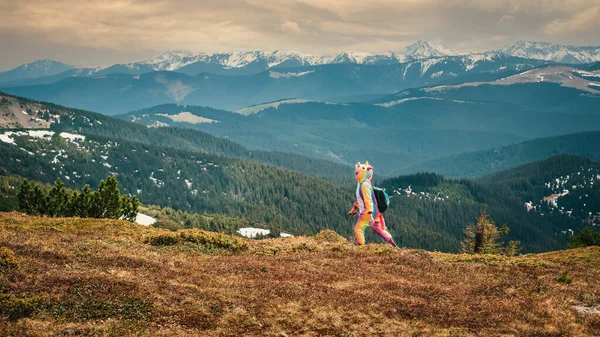 Unicorn love nature and travel in spring mountains — Stok fotoğraf