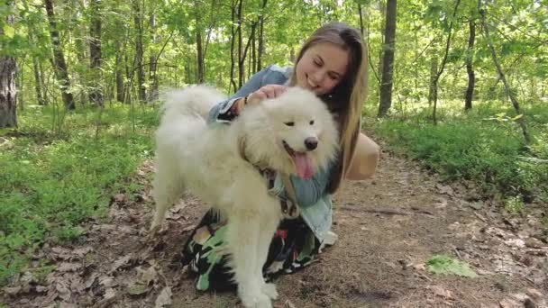 Young Beautiful Woman Hugging Her Dog Samoyed Walking Forest — Stock videók