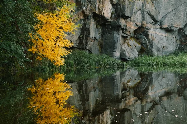 秋の時期の黄色の木の水に反映されます 美しい景色 — ストック写真