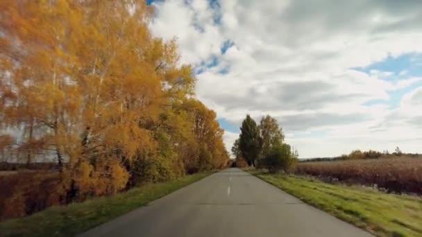 Estrada Através Belas Árvores Outono Túnel Floresta Amarela Paisagem Pôr — Vídeo de Stock