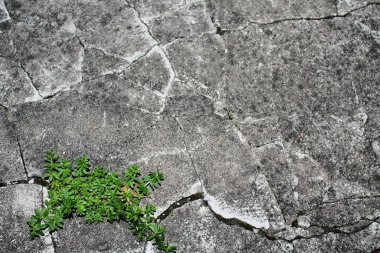 Soyut arkaplan beton duvar ayrışması