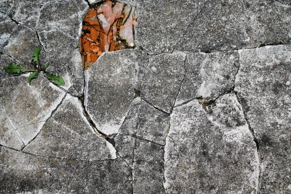 Soyut arkaplan beton duvar ayrışması