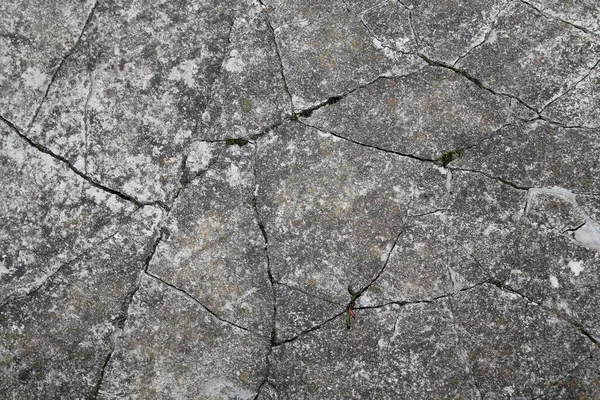 Soyut arkaplan beton duvar ayrışması