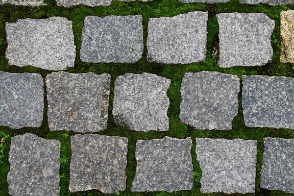 Pflasterplatten Auf Dem Hintergrund Eines Grünen Rasens — Stockfoto