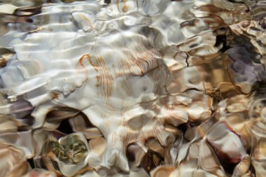 Deniz kıyısı su altı kabukları taşlar çözüldü.