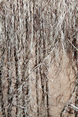 İpliğin dokusu eski ve pürüzlü.