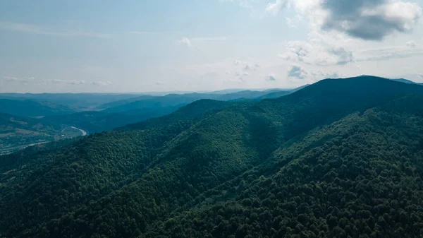 Yükseklik manzarasından dağlar ormanı