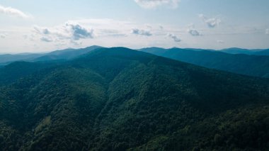 Yükseklik manzarasından dağlar ormanı
