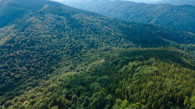Yükseklik manzarasından dağlar ormanı