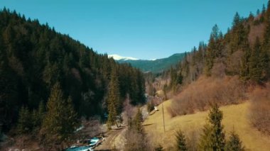 Dağlar kozalaklı orman havacılık İHA 'sı Ukrayna Karpatları