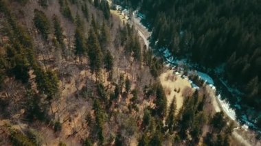 Dağlar kozalaklı orman havacılık İHA 'sı Ukrayna Karpatları