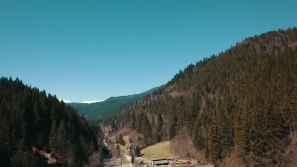 Montañas Bosque Coníferas Fotografía Aérea Drone Desde Una Altura Ucrania — Vídeos de Stock