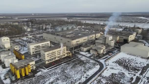 Usine Végétale Photographie Aérienne Drone — Video