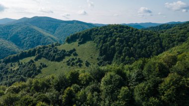 Yükseklik manzarasından dağlar ormanı