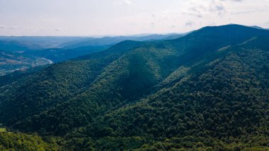 Yükseklik manzarasından dağlar ormanı