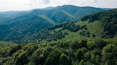Yükseklik manzarasından dağlar ormanı