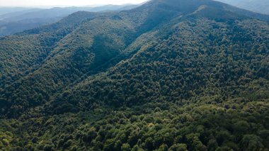 Yükseklik manzarasından dağlar ormanı